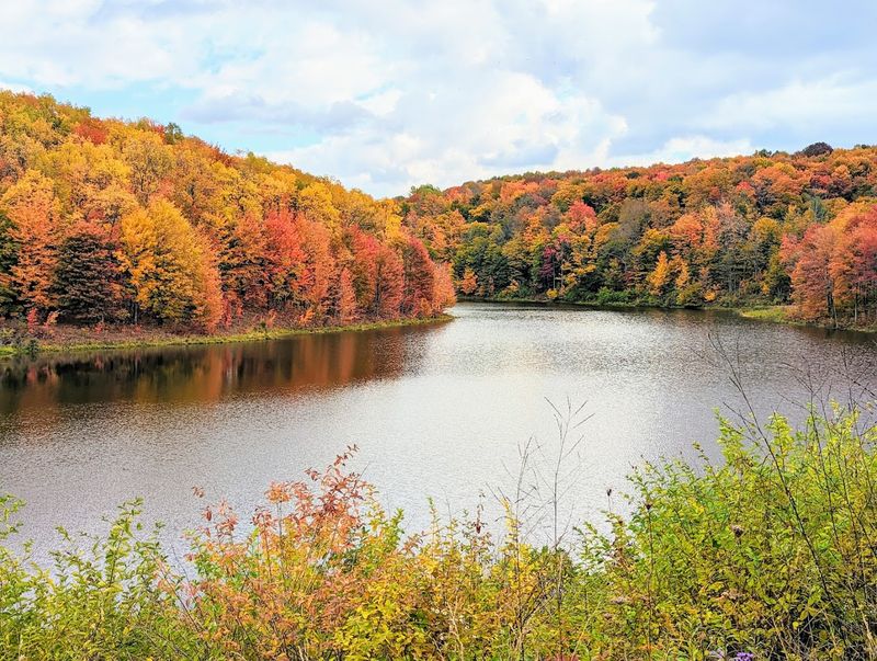 McCarty Hill State Forest