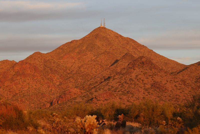 McDowell Mountain Range Vistas McDowell Mountain Range Vistas