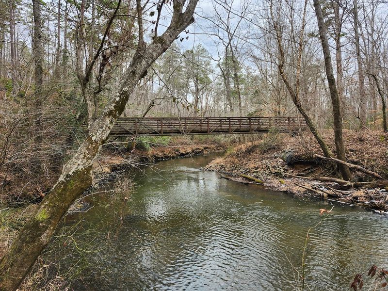 Medoc Mountain State Park - Hollister, North Carolina