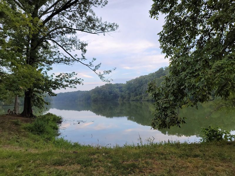 Meeman-Shelby Forest State Park - Millington, Tennessee Meeman-Shelby Forest State Park - Millington, Tennessee