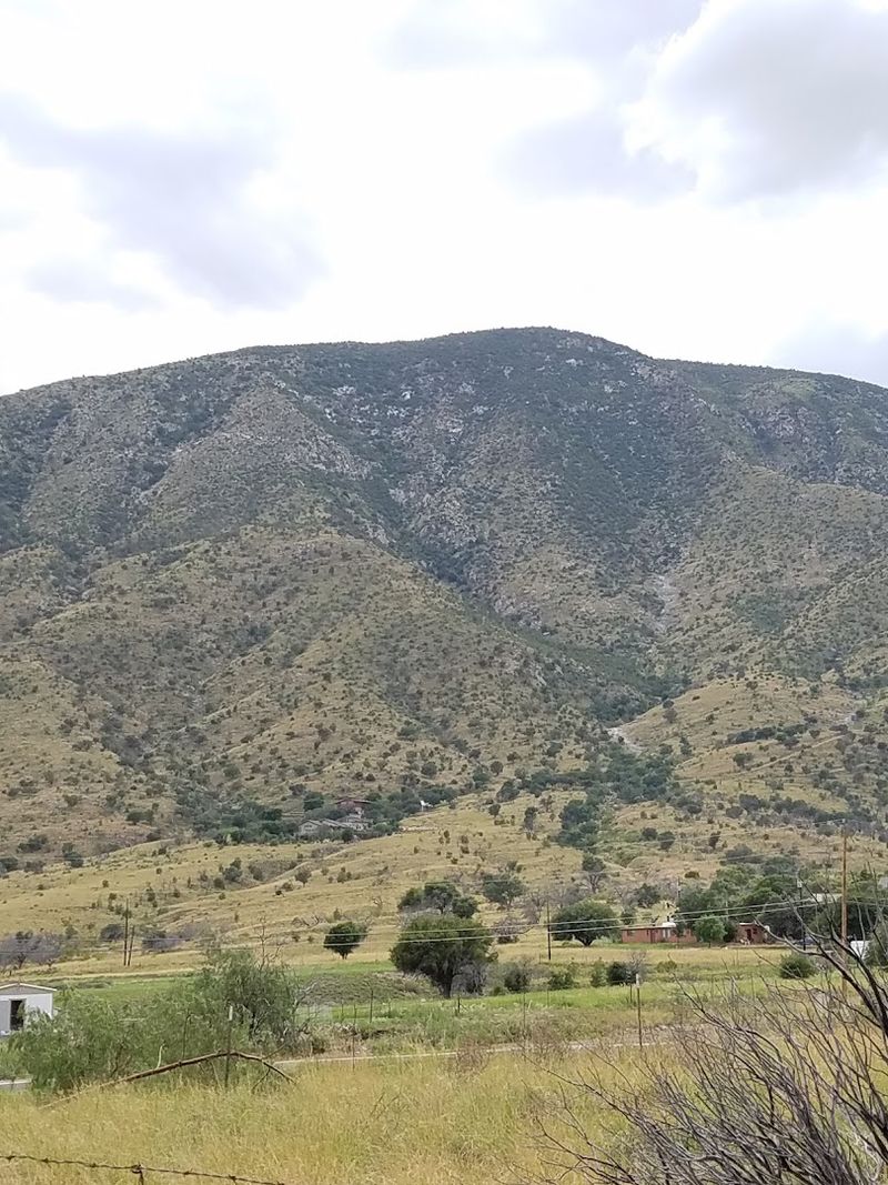 Mild Desert Climate With Four Seasons