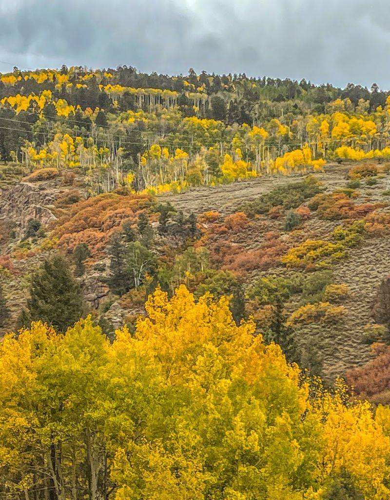 Mild Four-Season Climate