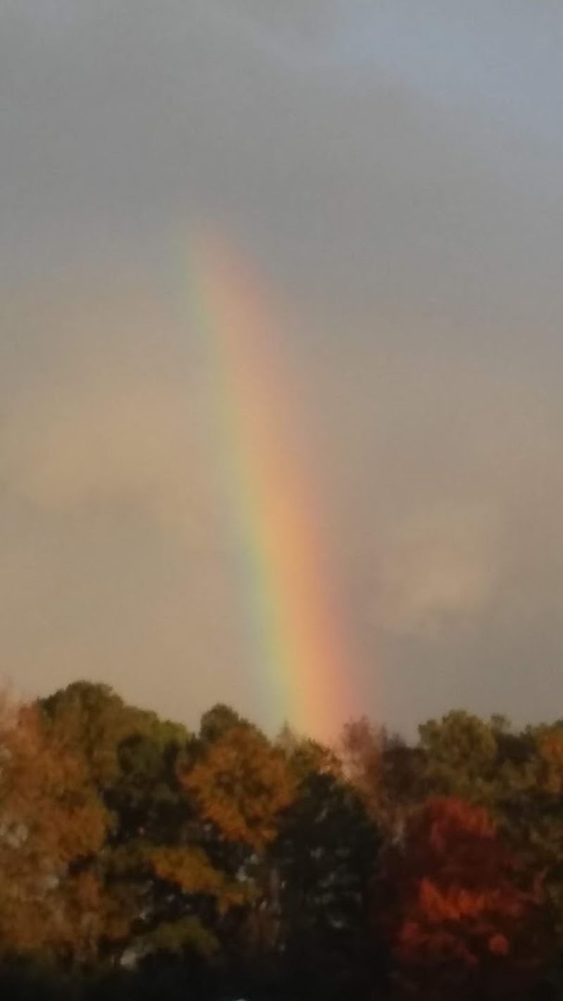 Mild Four-Season Climate