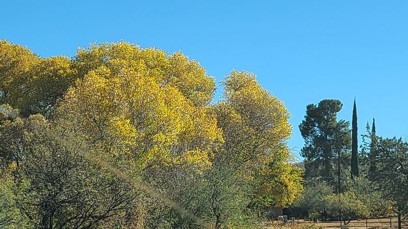 Mild Mountain Climate That Beats the Desert Heat