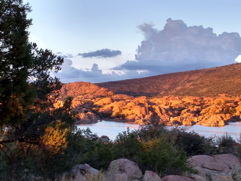 Mild Weather That Saves Money Year-Round Mild Weather That Saves Money Year-Round