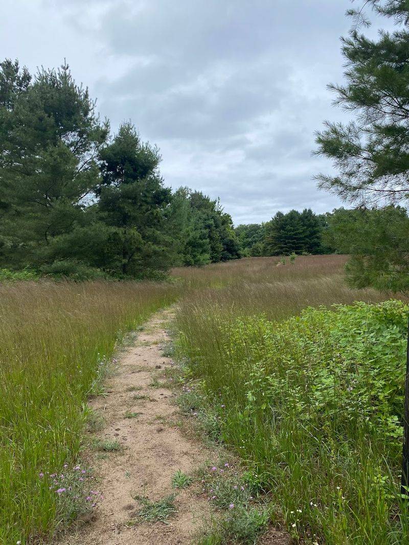 Miles of Forest Trails Perfect for Every Type of Hiker Miles of Forest Trails Perfect for Every Type of Hiker