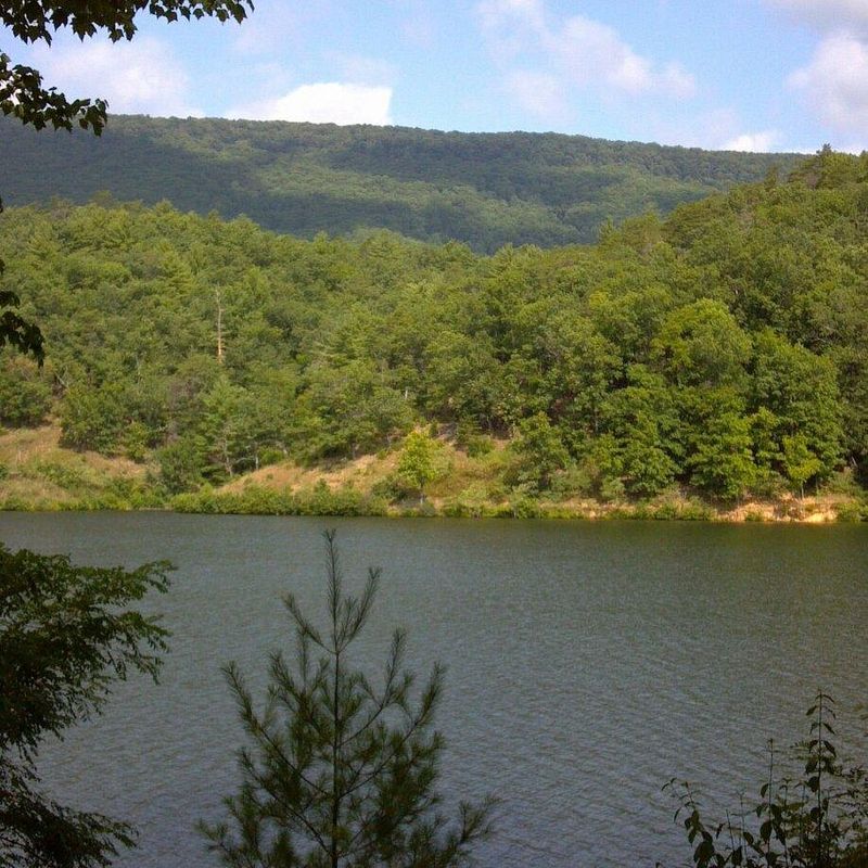 Miles of Forest Trails That Feel Like Another World