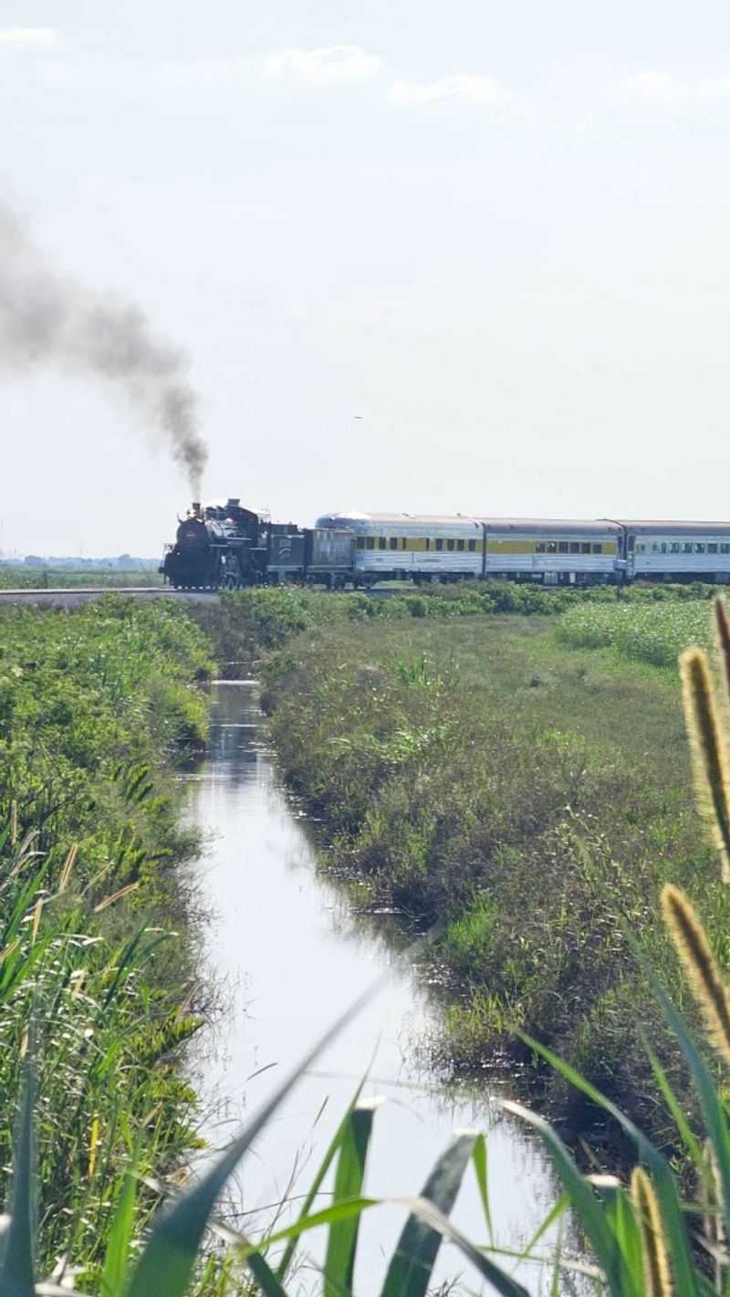 Miles of Sugarcane Fields Straight Out of a Painting
