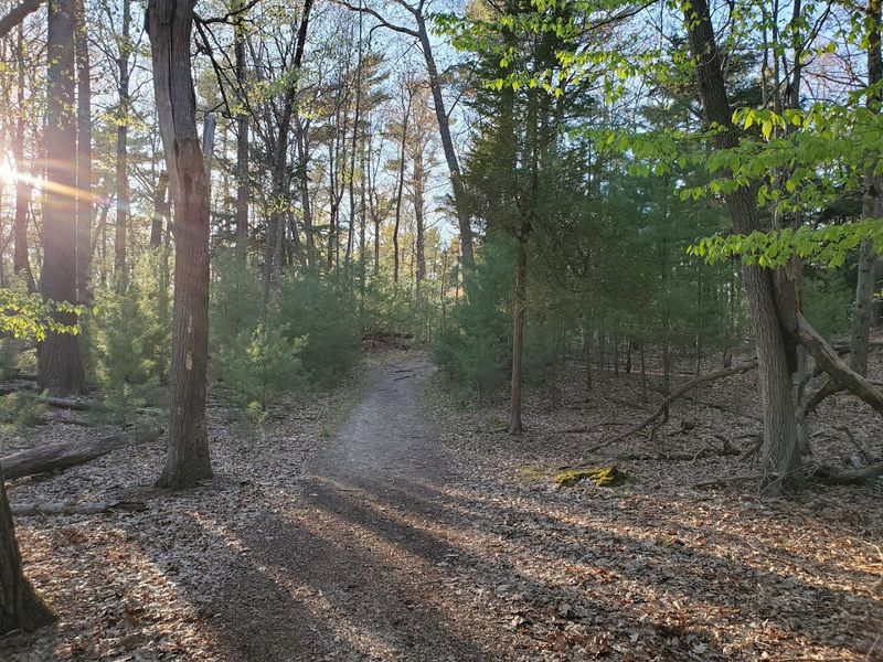 Miles of Trails for Every Skill Level Miles of Trails for Every Skill Level