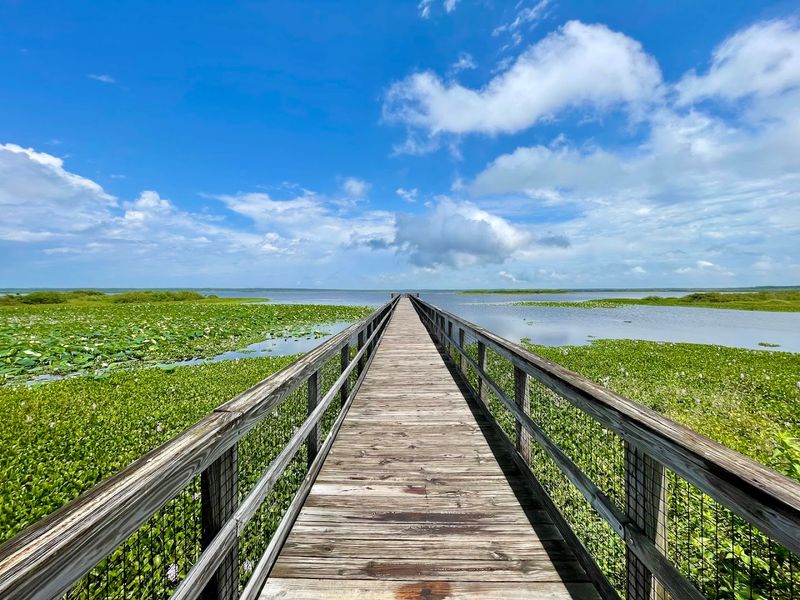 Miles of Trails for Every Type of Adventurer