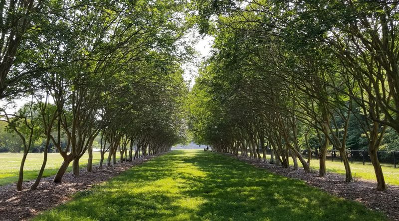 Miles of Walking Trails for Every Pace and Ability