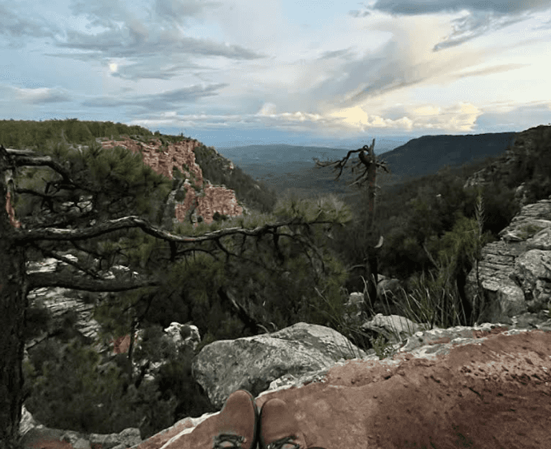 Milk Ranch Point via Pine Trailhead