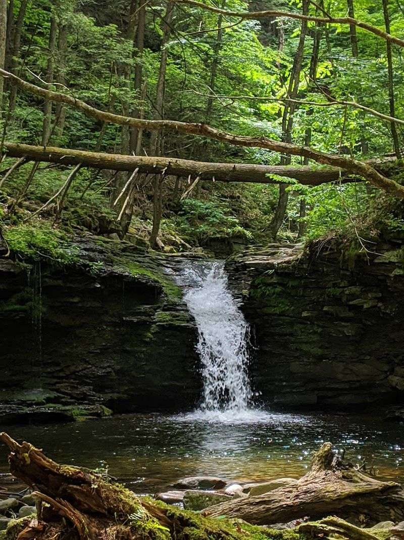 Mineral Springs Falls: A Hidden Reward Off the Beaten Path