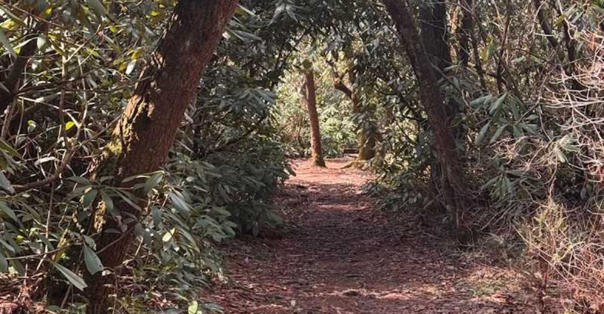 Most people have no idea this South Carolina hike actually crosses into another state