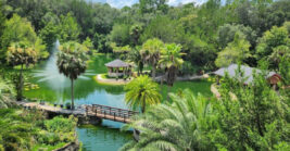Most people have no idea this breathtaking botanical garden in Florida even exists