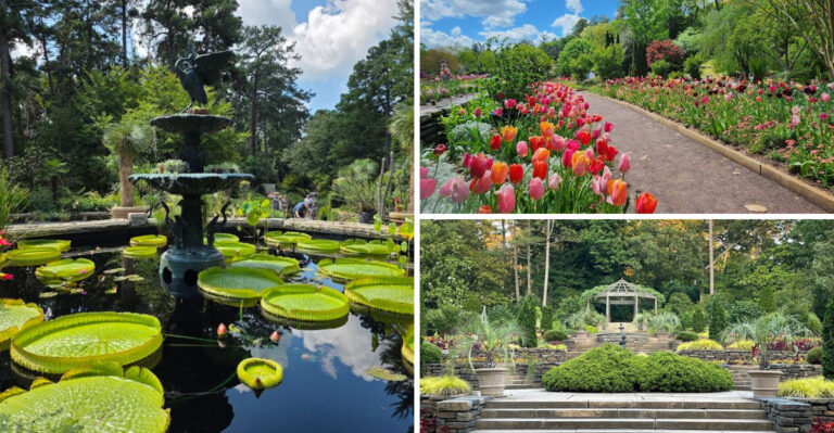 Most people have no idea this gorgeous botanical garden in North Carolina even exists
