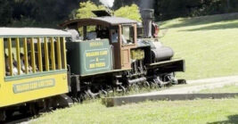 Most people have no idea this magical train ride is hiding in California