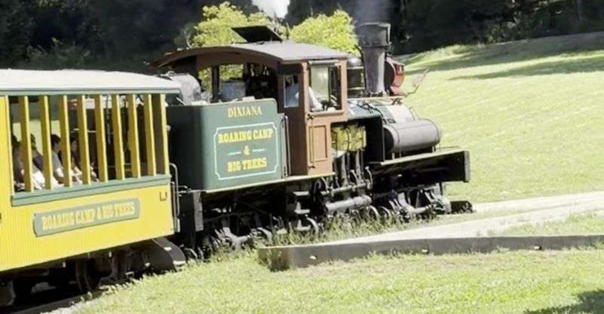 Most people have no idea this magical train ride is hiding in California
