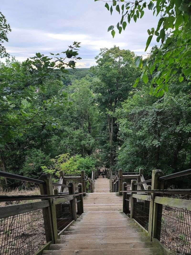 Mount Baldhead: A Climb Worth Every Step Mount Baldhead: A Climb Worth Every Step