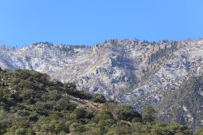 Mount Graham — A Natural Playground Right Next Door