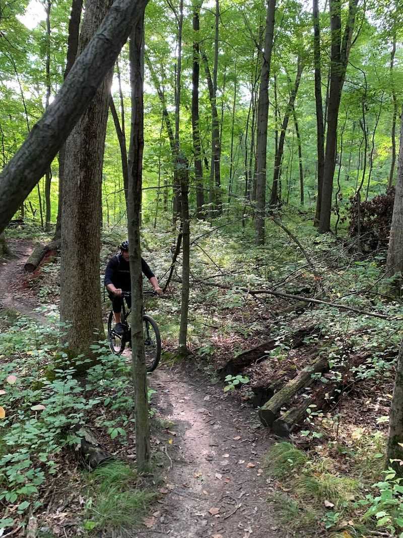 Mountain Bike Trails Built for Riders Who Crave Chaos