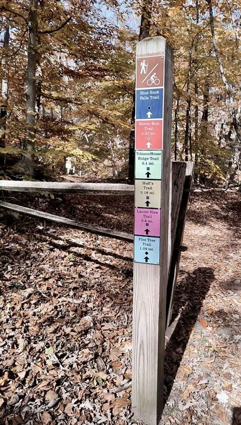 Mountain Biking Thrills on Rugged Terrain