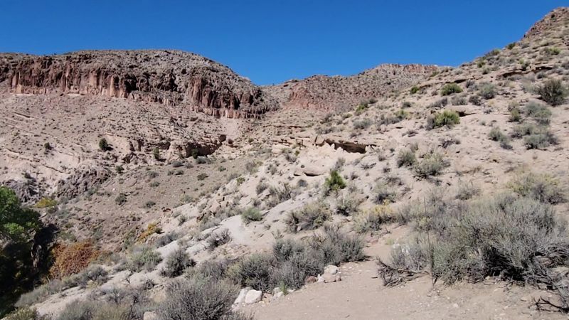 Mountain Biking Trails That Connect to a Regional System Mountain Biking Trails That Connect to a Regional System