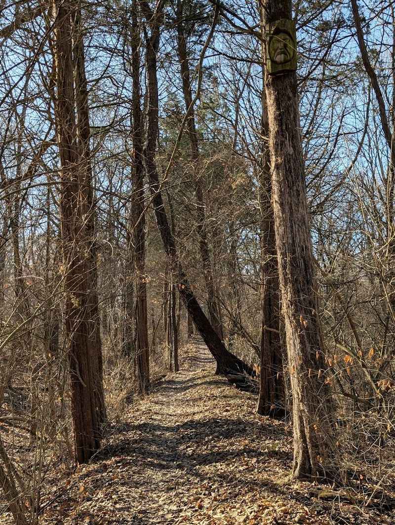 Mountain Biking Trails That Rival the Best in Illinois
