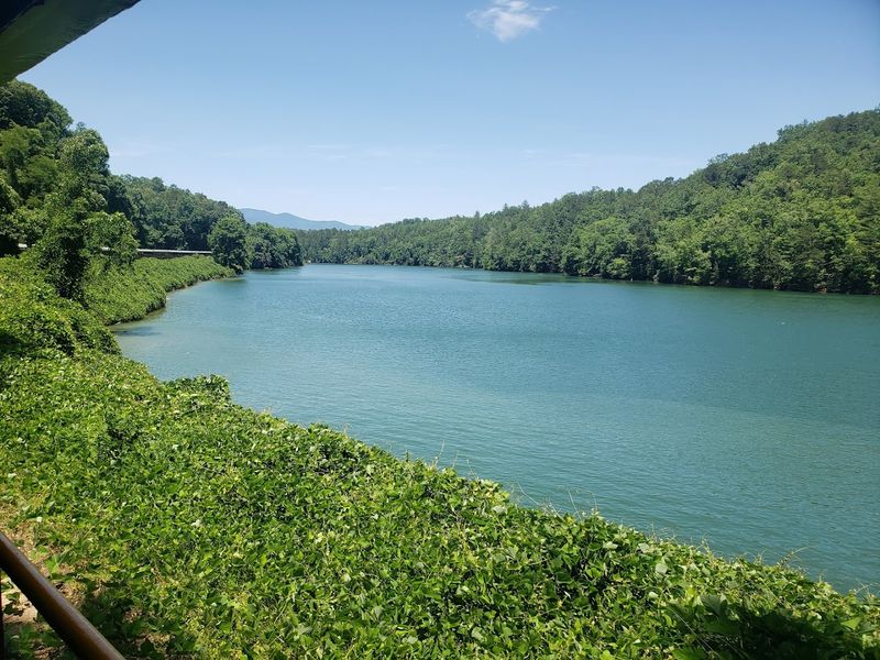Mountain Biking on Tsali Recreation Area Trails