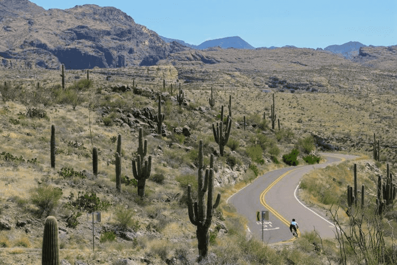 Mountain Biking the Apache Trail: Pedaling Through History