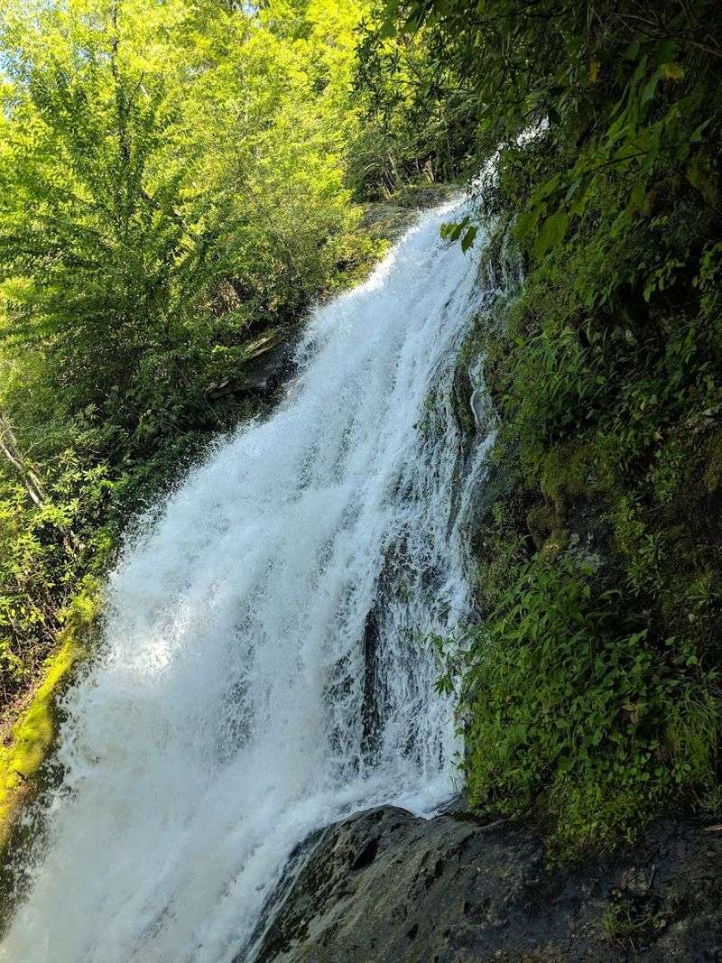 Mountain Rainforest Vibes Mountain Rainforest Vibes