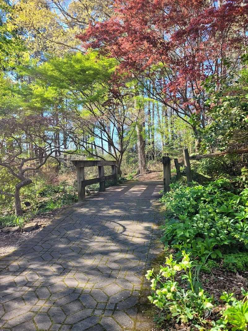 Natural Heritage Trail for Peaceful Forest Hikes