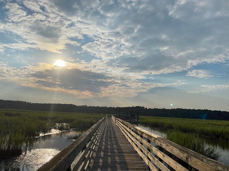 Nature Trails That Take You Through a Living Ecosystem