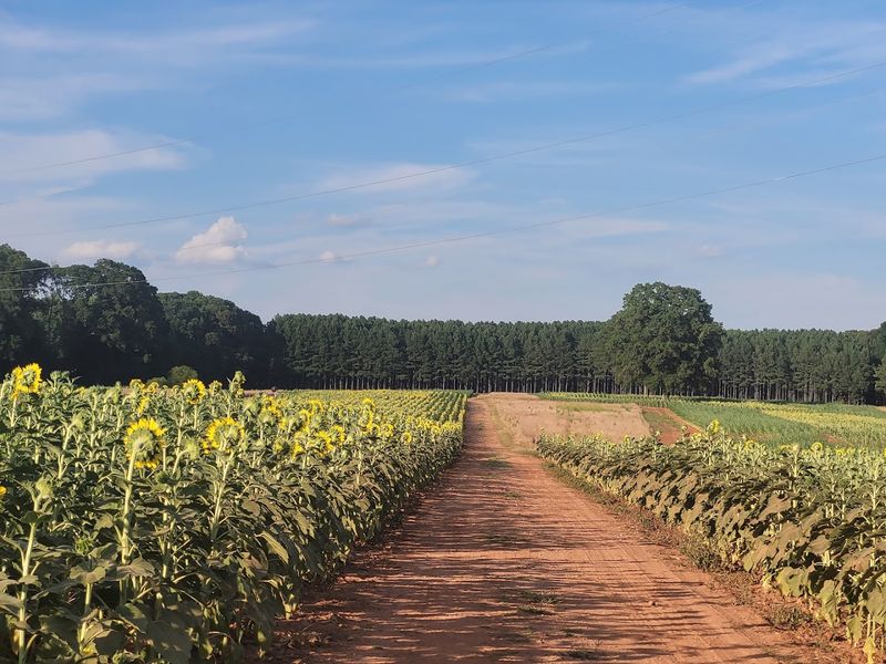 Navigating the Property Without Getting Lost