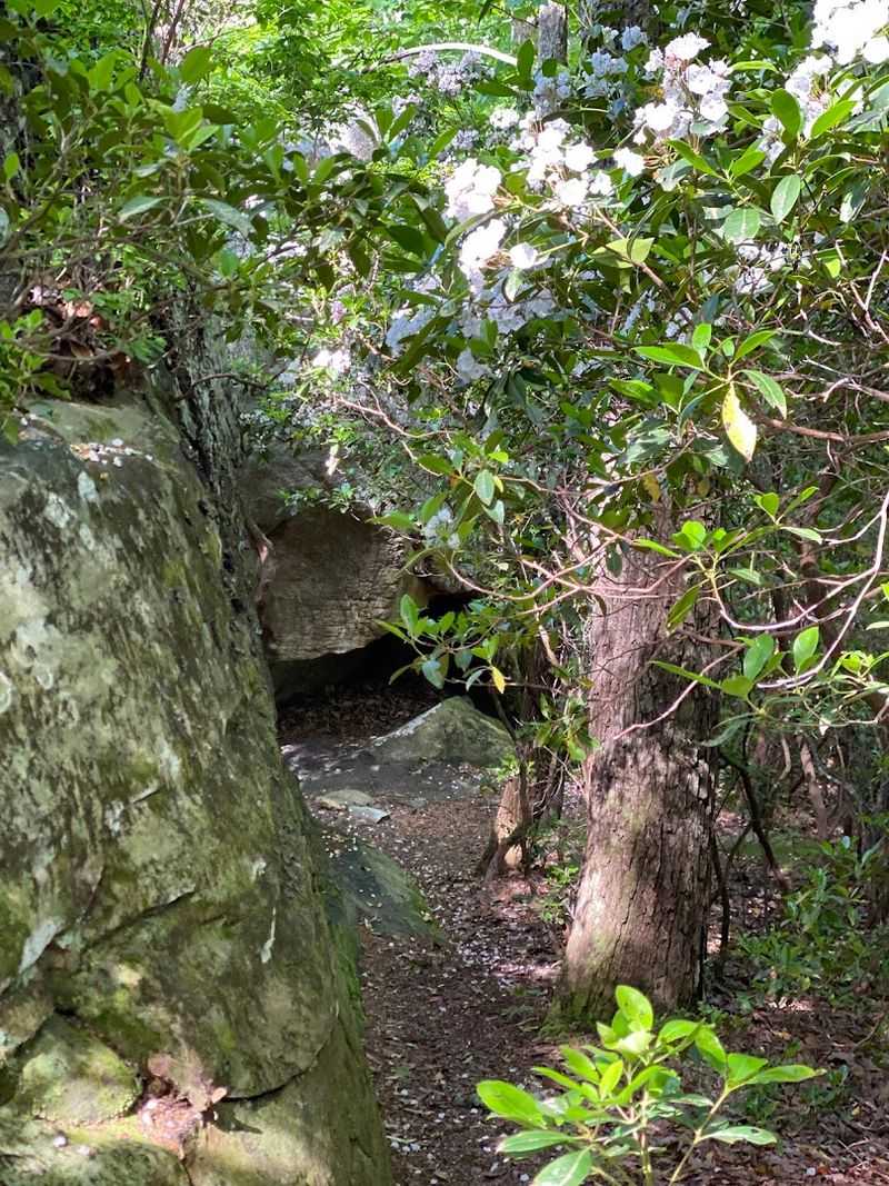 Navigation Tips to Avoid Getting Lost in the Boulder Field