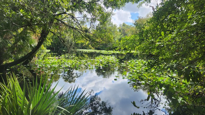 Nearby Attractions to Pair with Your Visit