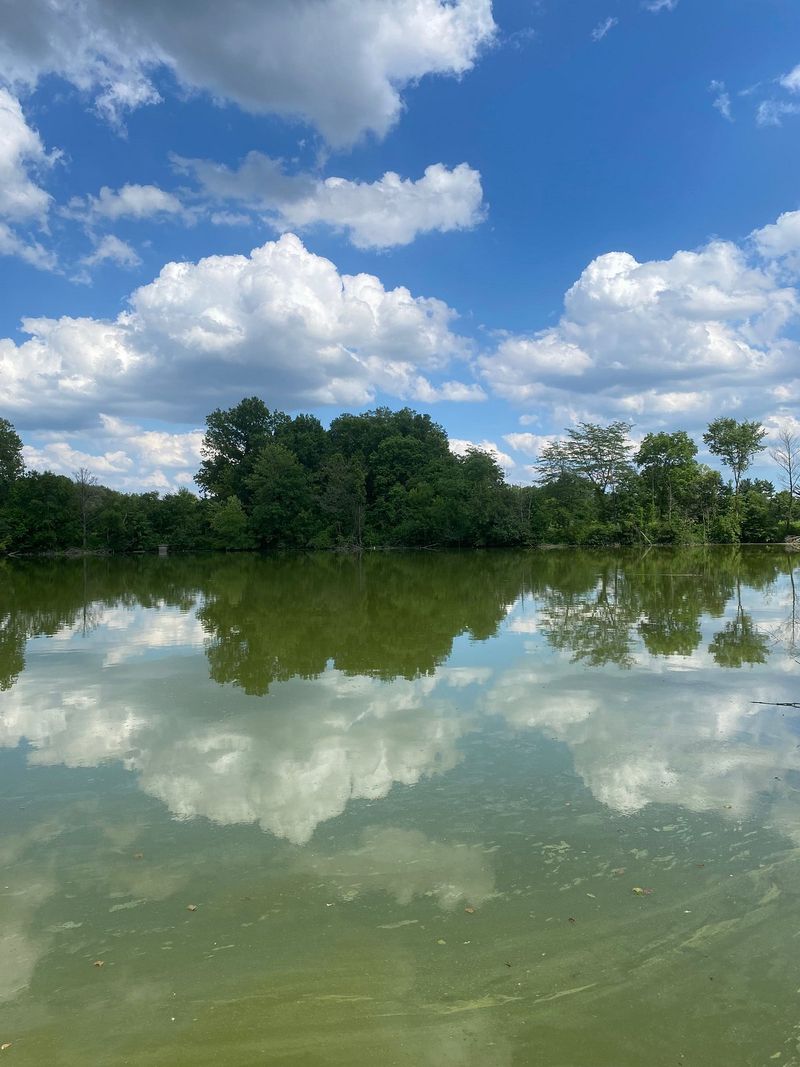 Nearby Nature That Costs Almost Nothing to Enjoy