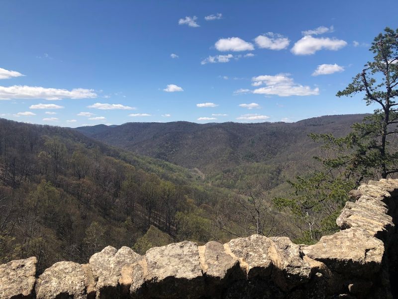 Nearby Wineries and Blue Ridge Scenery Nearby Wineries and Blue Ridge Scenery