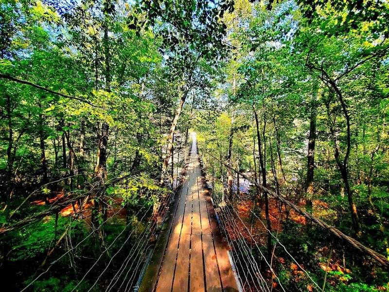 No Admission Fee: Stunning Nature for Free