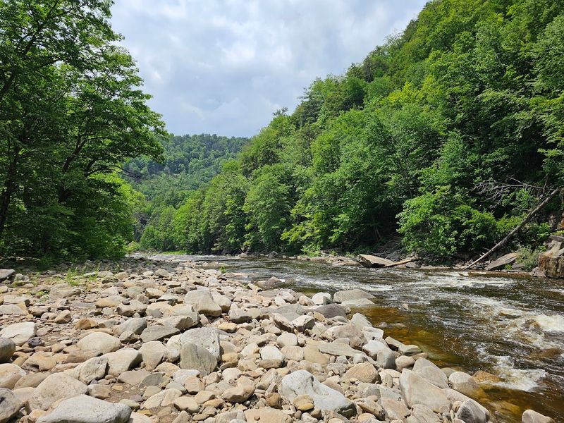 No Cell Service, No Wi-Fi, No Problem