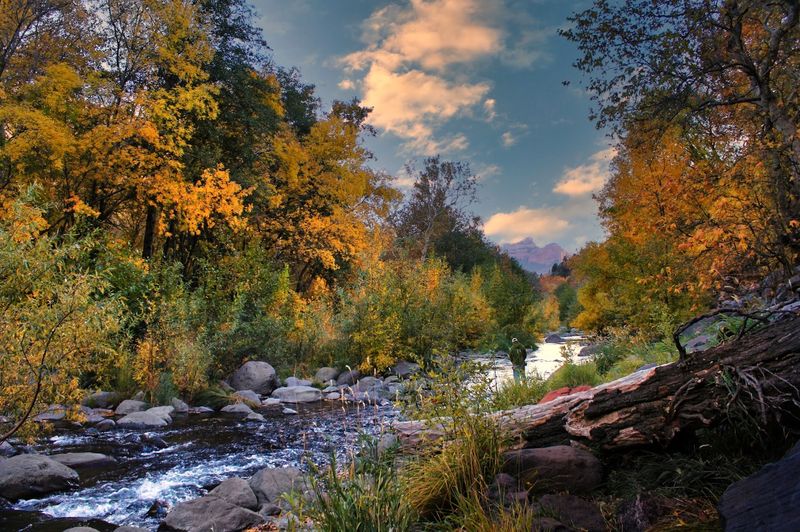 Oak Creek Canyon - Sedona, Arizona