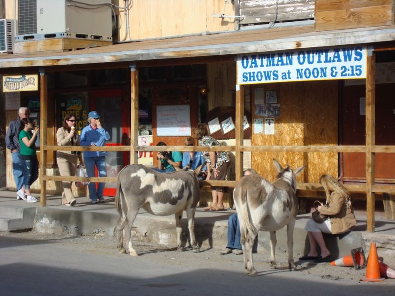 Oatman's Community Events and Celebrations