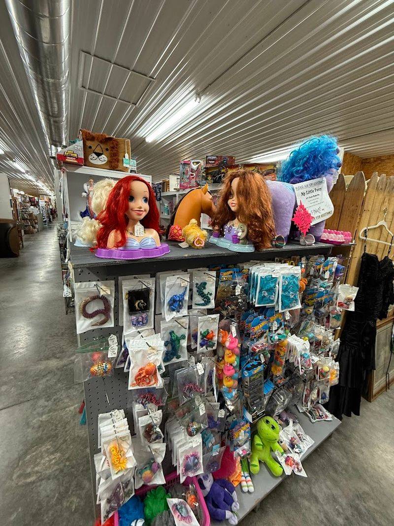 Oddities, Curiosities, and Creepy Collectibles
