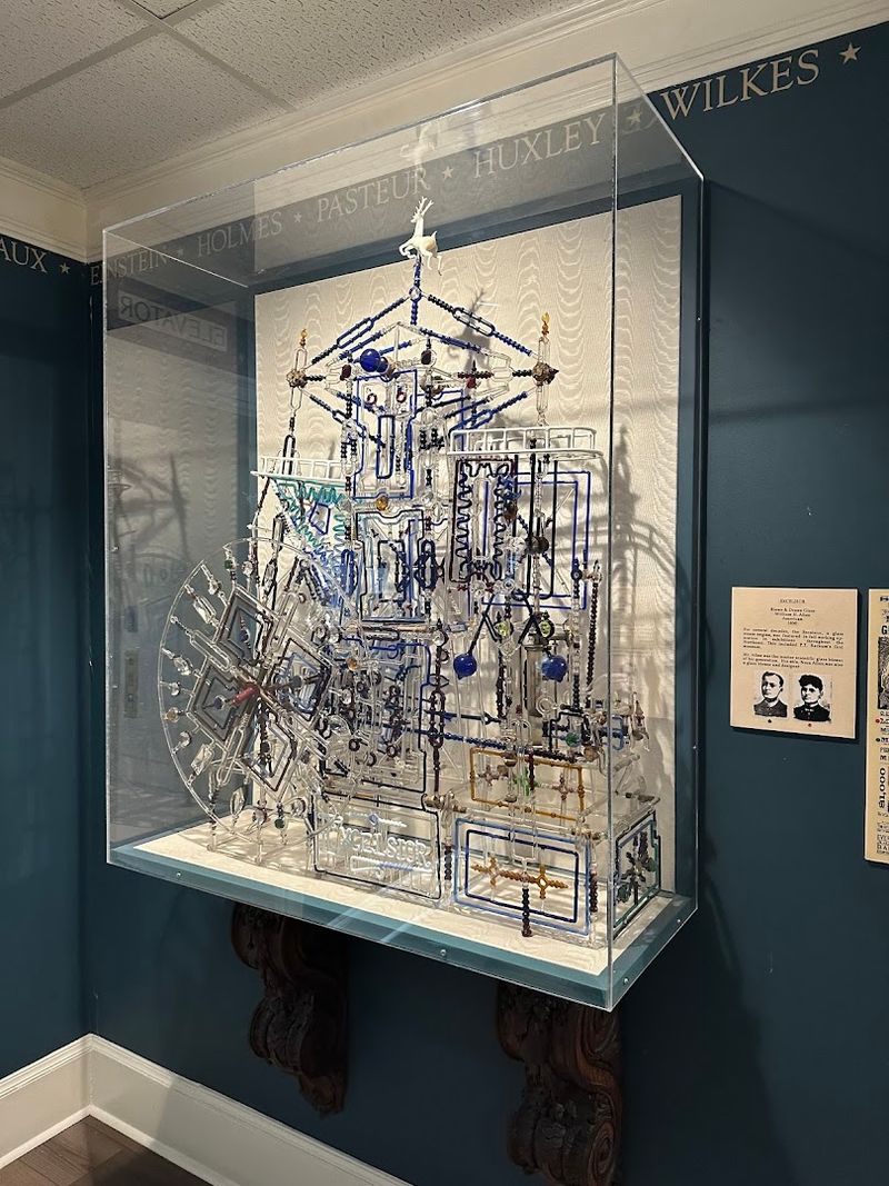 Oddities, Curiosities, and the Museum's Famous Eccentric Charm