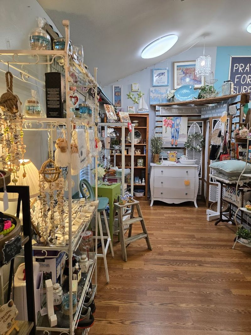 Oddities and Curiosities Collection