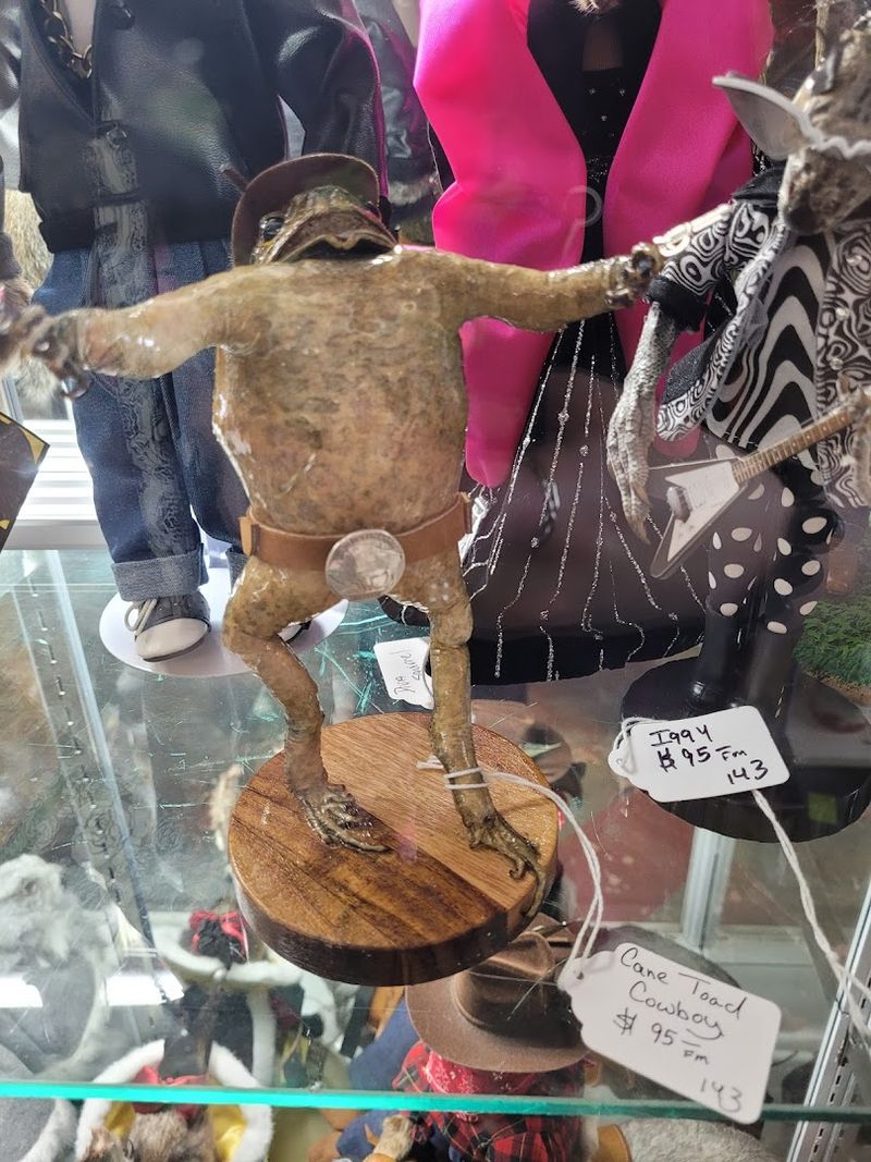 Oddities and Curiosities That Make You Do a Double Take