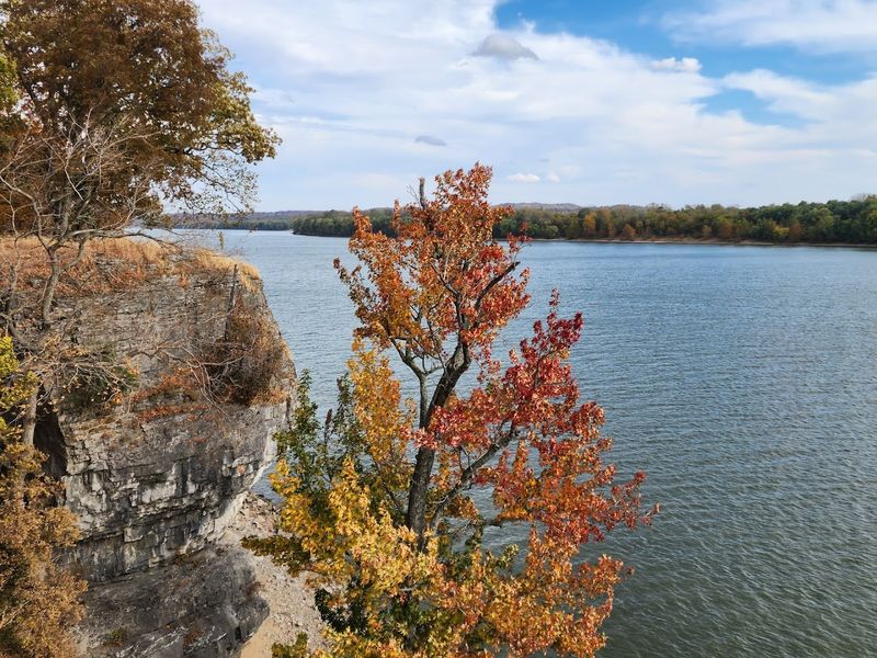 Ohio River Views From The Bluffs