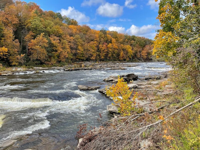 Ohiopyle State Park - Ohiopyle, Pennsylvania