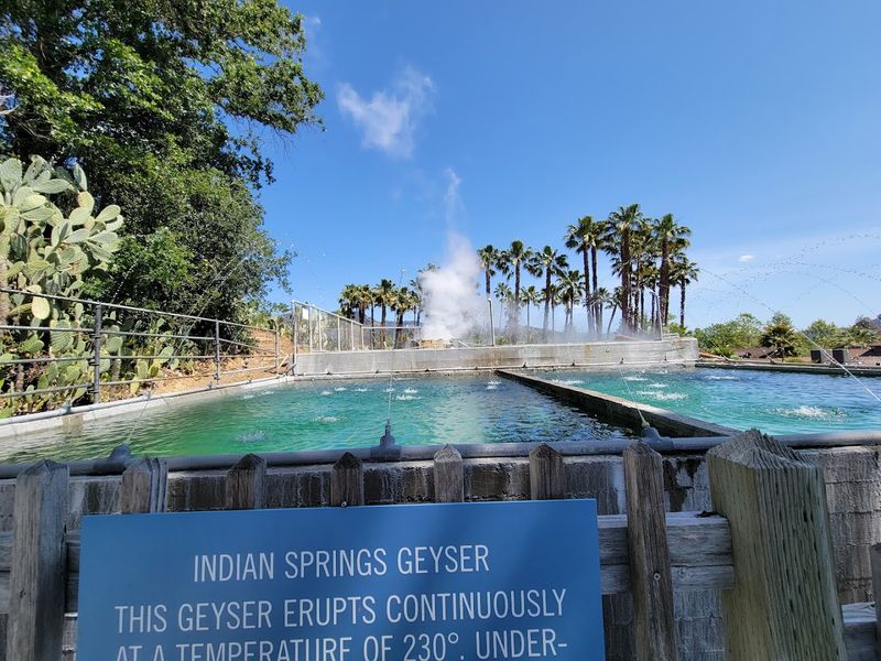 Old Faithful Geyser of California