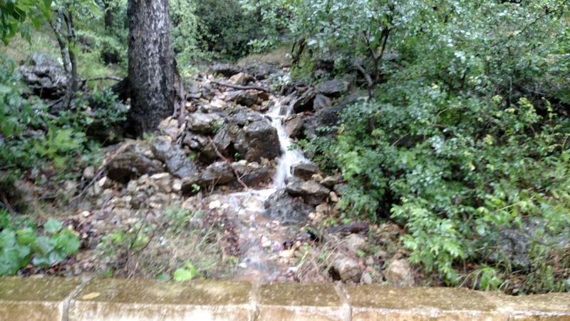 Onion Creek Greenbelt Trails